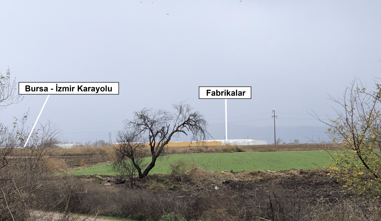 ikinci (111)